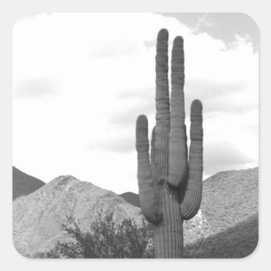 Saguaro Cactus Desert Custom Decal Stickers (Voorkant)
