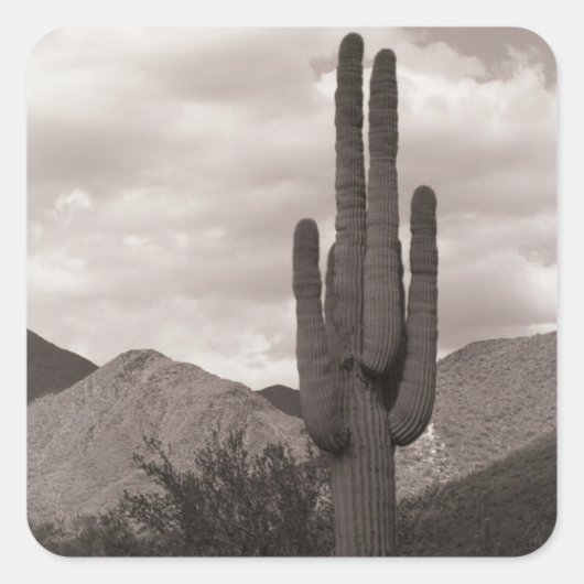 Saguaro Cactus Desert Custom Sticker Decals (Voorkant)