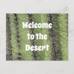 Saguaro Cactus Desert Foto Realty Appreciation Briefkaart