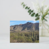 Saguaro Cactus en Catalina Mountains, Tucson AZ Briefkaart (Staand voorkant)