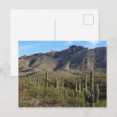Saguaro Cactus en Catalina Mountains, Tucson AZ Briefkaart (Voorkant / Achterkant)