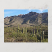 Saguaro Cactus en Catalina Mountains, Tucson AZ Briefkaart (Voorkant)