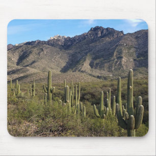 Saguaro Cactus en Catalina Mountains, Tucson AZ Muismat