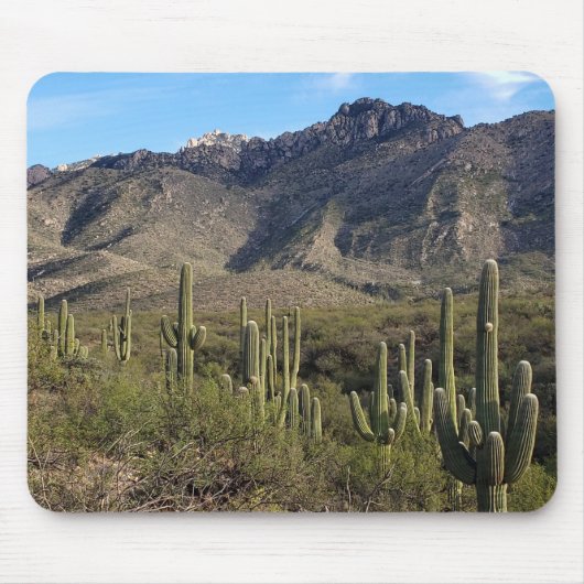 Saguaro Cactus en Catalina Mountains, Tucson AZ Muismat (Voorkant)