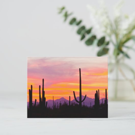 Saguaro Cactus Forest op Sunset Briefkaart (Staand voorkant)