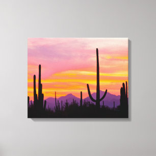 Saguaro Cactus Forest op Sunset Canvas Afdruk