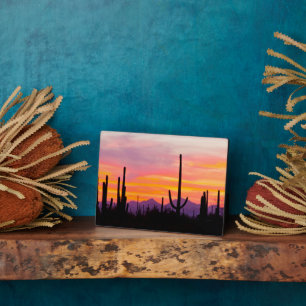 Saguaro Cactus Forest op Sunset Fotoplaat