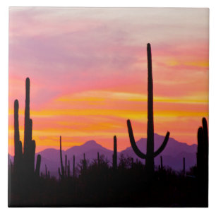 Saguaro Cactus Forest op Sunset Tegeltje