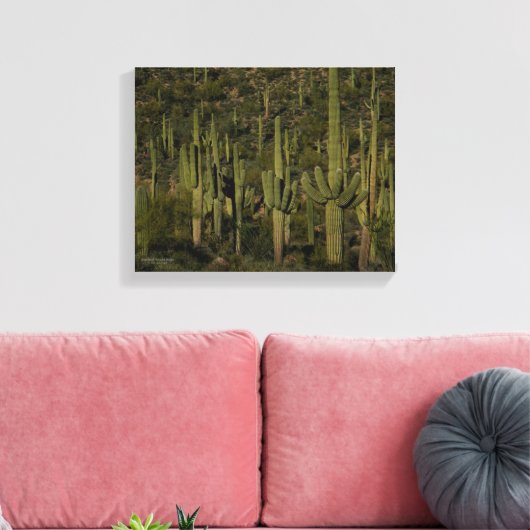 Saguaro Cactus Forest Sonoran Desert Arizona Canvas Afdruk (Insitu (Woonkamer))
