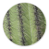 Saguaro Cactus Foto van Bright Green Plant Southwe Keramische Knop (Voorkant)