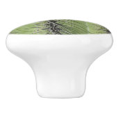 Saguaro Cactus Foto van Bright Green Plant Southwe Keramische Knop (Zijkant)