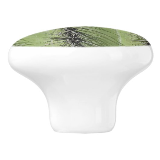 Saguaro Cactus Foto van Bright Green Plant Southwe Keramische Knop (Zijkant)