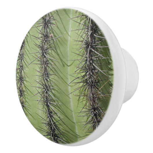 Saguaro Cactus Foto van Bright Green Plant Southwe Keramische Knop (Rechts)