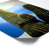 Saguaro Cactus High Briefkaart Poster (Hoek)