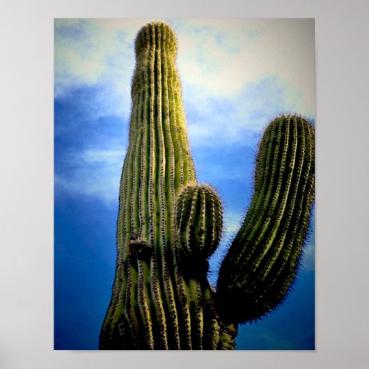 Saguaro Cactus High Briefkaart Poster (Voorkant)