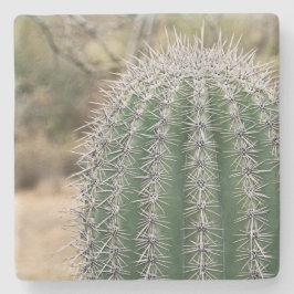 Saguaro Cactus in Arizona, onderzetter van vierkan