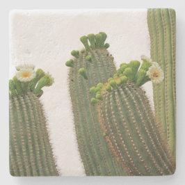 Saguaro Cactus in Arizona, onderzetter van vierkan