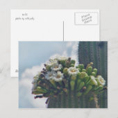 Saguaro cactus in bloom briefkaart (Voorkant / Achterkant)