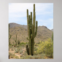 Saguaro Cactus in de Arizona Desert Color 16x20 Poster
