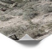 Saguaro Cactus in de Arizona-woestijn met een laag Poster (Hoek)