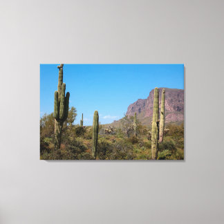 Saguaro Cactus in de Sonorawoestijn van Arizona Canvas Afdruk