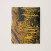 Saguaro cactus in het Nationaal Park Saguaro nabij Legpuzzel (Verticaal)