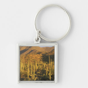 Saguaro-cactus in Saguaro National Park bij Sleutelhanger