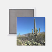 Saguaro Cactus Magneet (Voorkant / Achterkant)