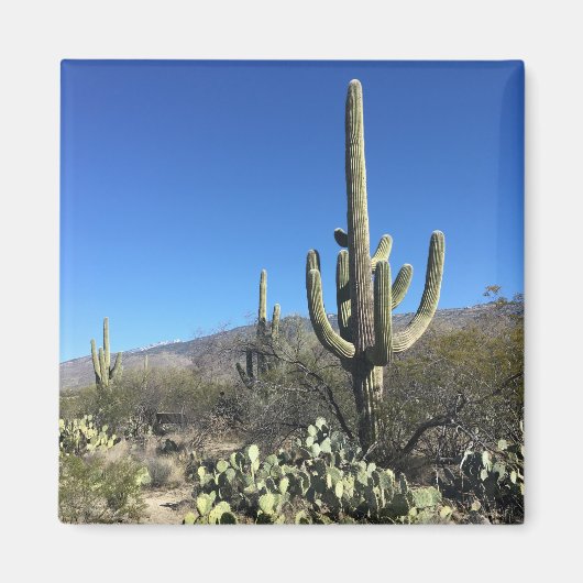 Saguaro Cactus Magneet (Voorkant)