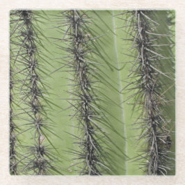 Saguaro Cactus Needles Photo Southwest Natuur Glazen Onderzetter