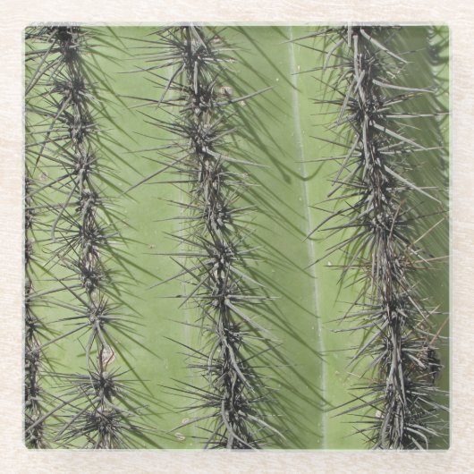 Saguaro Cactus Needles Photo Southwest Natuur Glazen Onderzetter (Voorkant)