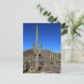 Saguaro Cactus nr. 9 Briefkaart (Staand voorkant)