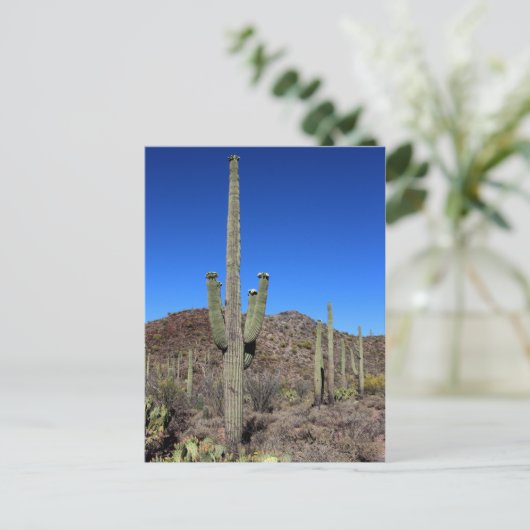 Saguaro Cactus nr. 9 Briefkaart (Staand voorkant)