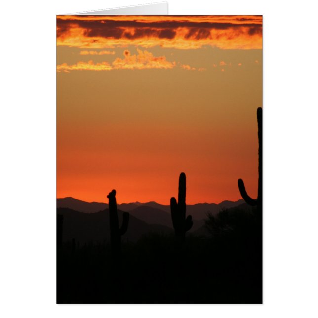 Saguaro Cactus op Sunset (Voorkant)