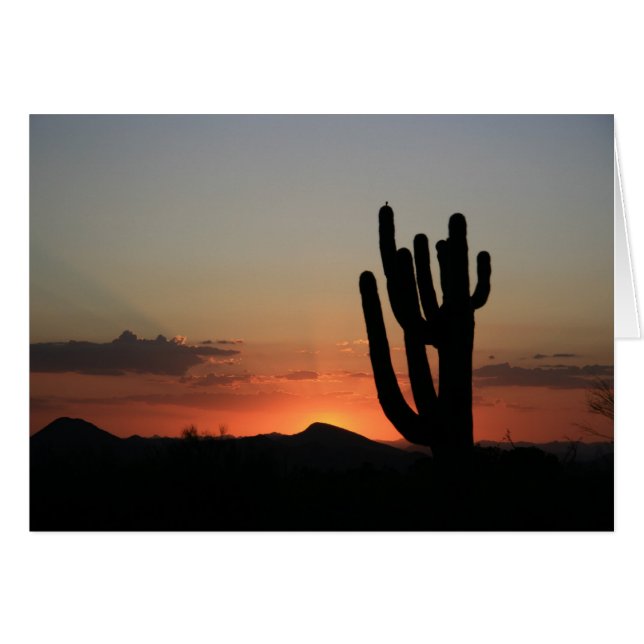 Saguaro Cactus op Sunset (Voorkant Horizontaal)