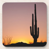 Saguaro Cactus op Sunset Bier Onderzetter (Voorkant)