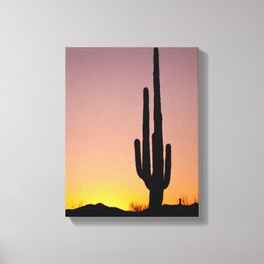 Saguaro Cactus op Sunset Canvas Afdruk (Voorkant)