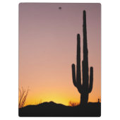 Saguaro Cactus op Sunset Klembord (Achterkant)