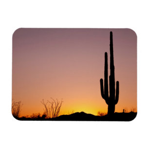 Saguaro Cactus op Sunset Magneet