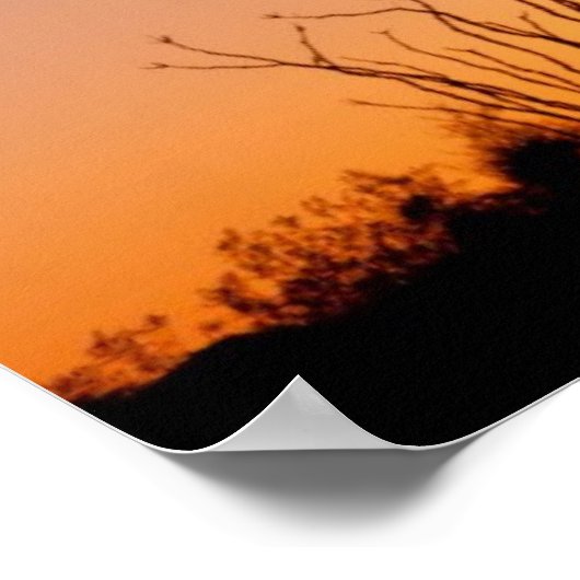 Saguaro Cactus op Sunset Poster (Hoek)