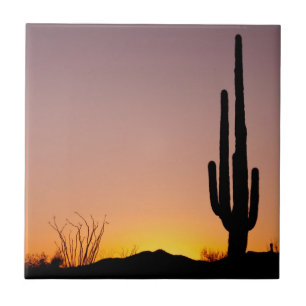 Saguaro Cactus op Sunset Tegeltje