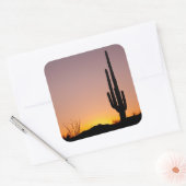 Saguaro Cactus op Sunset Vierkante Sticker (Envelop)