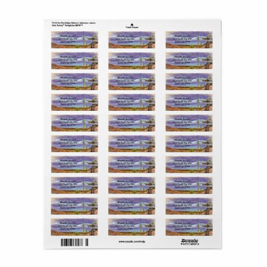 Saguaro Cactus Paars Sky Arizona Uitzicht Etiket (Full Sheet)