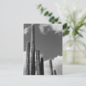 Saguaro Cactus Pipes Desert B&W Foto Briefkaart (Staand voorkant)