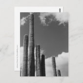 Saguaro Cactus Pipes Desert B&W Foto Briefkaart (Voorkant / Achterkant)