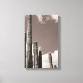 Saguaro Cactus Pipes Desert B&W Foto Prints (Voorkant)