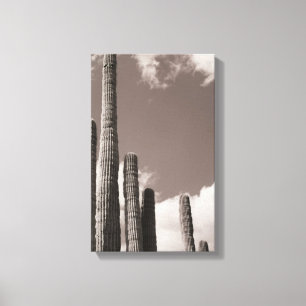 Saguaro Cactus Pipes Desert B&W Foto Prints