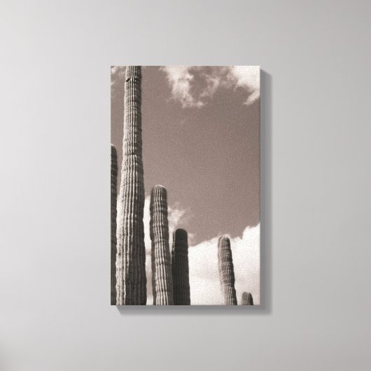 Saguaro Cactus Pipes Desert B&W Foto Prints (Voorkant)