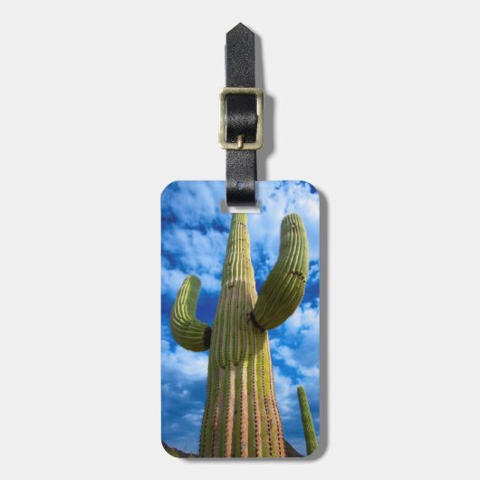 Saguaro cactus portret, Arizona Bagagelabel (Voorkant verticaal)