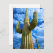 Saguaro cactus portret, Arizona Briefkaart (Voorkant / Achterkant)